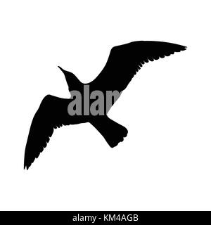 Fliegende Möwe Vogel schwarze Silhouette auf weißem Hintergrund. Vector Illustration. Stock Vektor