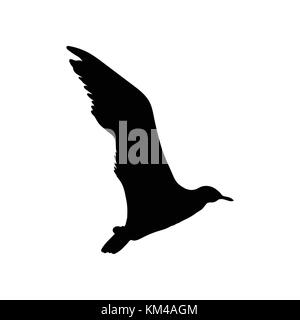 Fliegende Möwe Vogel schwarze Silhouette auf weißem Hintergrund. Vector Illustration. Stock Vektor