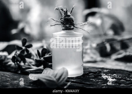 Combretum indicum, rangun Kriechgang Öl in einer Glasflasche auf