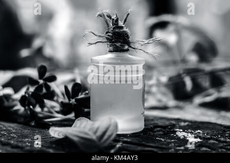 Combretum indicum, rangun Kriechgang Öl in einer Glasflasche auf