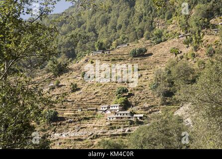 Terrassenfelder sind typisch für die Annapurna-Region im westlichen Himalaya. Oft dienen die treppenförmigen Flächen dem Reisanbau. (04. Dezember 2016) | Nutzung weltweit Stockfoto