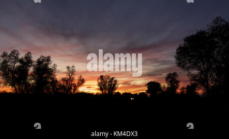 Die Scheinwerfer eines Autos im kalifornischen Central Valley Sonnenuntergang, mit einer Vielzahl von Farben und die Silhouetten von Bäumen Stockfoto