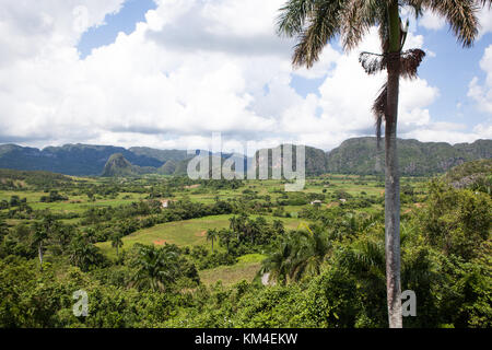 Der Blick auf das Tal von Vinales Kuba aus der Sicht des Horizontes Los Jazmines Hotel in heissen Sommertag Stockfoto