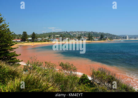 Fishermans Strand von Long Reef Point in collaroy, einem nördlichen Vorort von Sydney, New South Wales, Australien Stockfoto