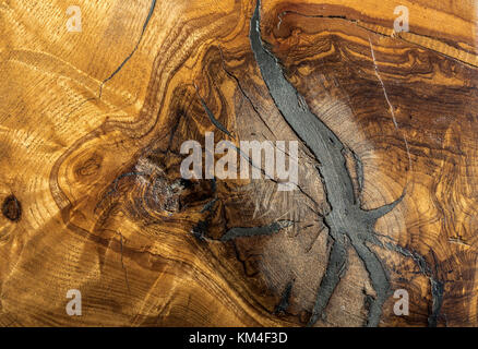 Nahaufnahme der gefällten Eiche, die das unglaubliche Detail der Holzkörner und der Wachstumsringe am Baumstamm zeigt Stockfoto