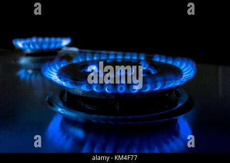 Blaue Flamme aus einem Gasbrenner auf einem Gasherd Stockfoto