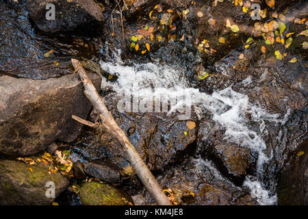 Wasserfälle in der Garganta de las Nogaledas in der Nähe von Navaconcejo in der jerte Tal, Extremadura, Spanien Stockfoto