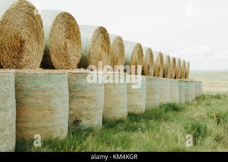 Verpackte runde gestapelten Strohballen in der Prärie in der Erntezeit in Montana. Stockfoto