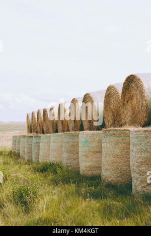 Verpackte runde gestapelten Strohballen in der Prärie in der Erntezeit in Montana. Stockfoto