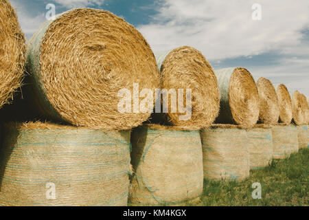 Verpackte runde gestapelten Strohballen in der Prärie in der Erntezeit in Montana. Stockfoto