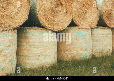 Verpackte runde gestapelten Strohballen in der Prärie in der Erntezeit in Montana. Stockfoto