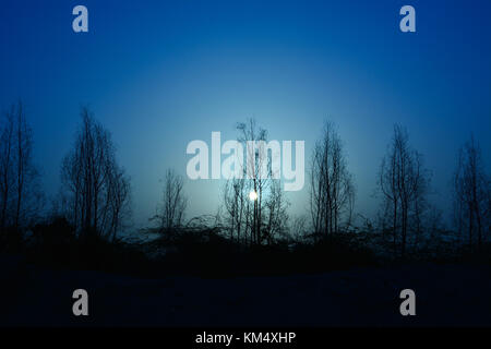Schöne Nacht Szene mit blauem Himmel und Silhouette Bäume Stockfoto
