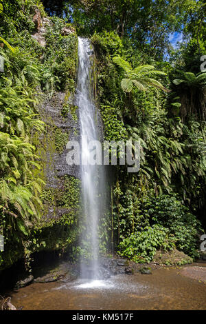 Benang kelambu Wasserfälle im tropischen Regenwald in der Nähe des Dorfes aik Berik,batukliang, zentrale Lombok, Indonesien Stockfoto