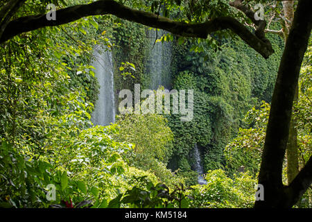 Benang Kelambu Wasserfälle im tropischen Wald in der Nähe des Dorfes AIK Berik, Nord Batukliang, Zentral Lombok, Indonesien Stockfoto