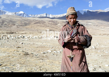 Ein Mann aus changpa Nomaden auf dem Weg seine Herde von Ziegen in die Berge zu nehmen, Tso Moriri, Ladakh, Jammu und Kaschmir, Indien. Stockfoto