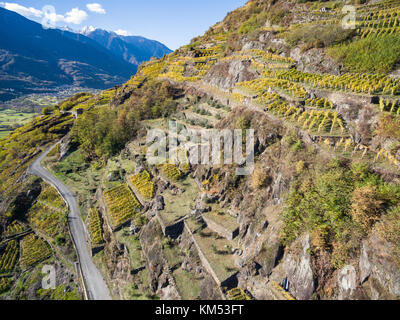 Herbst in Valtellina, Weinberge und Terrassen Stockfoto