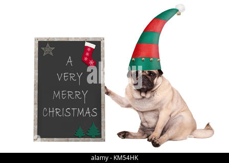 Weihnachten mops Welpe Hund sitzend, Holding blackboardl, das Tragen von elf Hut auf weißem Hintergrund Stockfoto