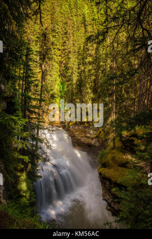 Wasserfall in der Johnston Canyon, Banff National Park, Kanada Stockfoto