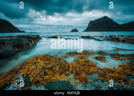 Haukland Strand auf Lofoten in Norwegen Stockfoto