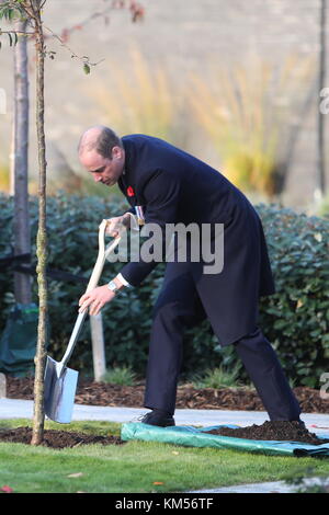 Der Duke of Cambridge pflanzt einen Kirschbaum im Gedenkgarten der Metropolitan Police, um seinen Besuch zu feiern, bei dem er an der Metropolitan Police Service Passing Out Parade teilnahm, um die Graduierung von 182 neuen Rekruten an der Met's Police Academy in Hendon zu feiern. Mit: Duke of Cambridge, Prince William Wo: London, Großbritannien Wann: 03. November 2017 Credit: John Rainford/WENN.com Stockfoto