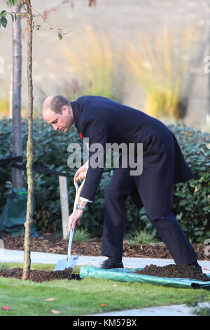 Der Duke of Cambridge pflanzt einen Kirschbaum im Gedenkgarten der Metropolitan Police, um seinen Besuch zu feiern, bei dem er an der Metropolitan Police Service Passing Out Parade teilnahm, um die Graduierung von 182 neuen Rekruten an der Met's Police Academy in Hendon zu feiern. Mit: Duke of Cambridge, Prince William Wo: London, Großbritannien Wann: 03. November 2017 Credit: John Rainford/WENN.com Stockfoto