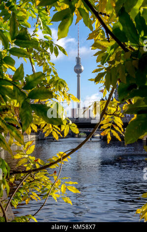 Berliner Skyline mit Fernsehturm und Spree, durch Herbst farbige Bäume gesehen. Stockfoto