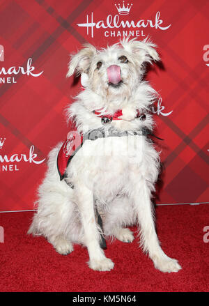 Los Angeles, Ca, USA. Dez 2017. Happy the Dog bei Der Vorführung Von Hallmark Channels "Christmas In Holly Lodge" in The Grove in Los Angeles, Kalifornien am 4. Dezember 2017. Kredit: Faye Sadou/Media Punch/Alamy Live News Stockfoto