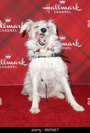 Los Angeles, Ca, USA. Dez 2017. Happy the Dog bei Der Vorführung Von Hallmark Channels "Christmas In Holly Lodge" in The Grove in Los Angeles, Kalifornien am 4. Dezember 2017. Kredit: Faye Sadou/Media Punch/Alamy Live News Stockfoto