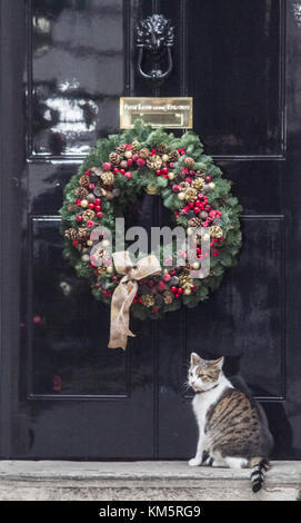 London, Großbritannien. 5 Dez, 2017. Larry die Katze und Chief mouser an den Schrank Büro sitzt außerhalb Downing Street Nr.10 mit Weihnachtsschmuck an der Tür Credit: Amer ghazzal/Alamy leben Nachrichten Stockfoto