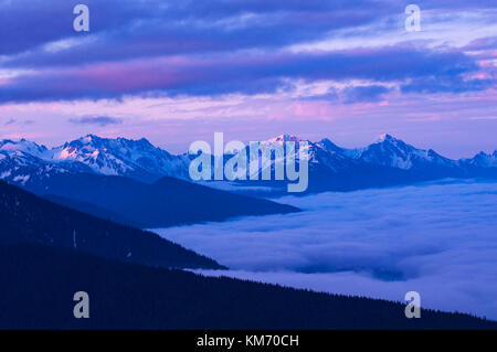 Olympic Mountain Range, Olympic National Park, Washibgton, USA Stockfoto