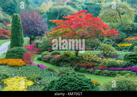 Herbst Farben, Sunken Garden, Butchart Gardens, Brentwood Bay, Vancouver Island, British Columbia, Kanada Stockfoto