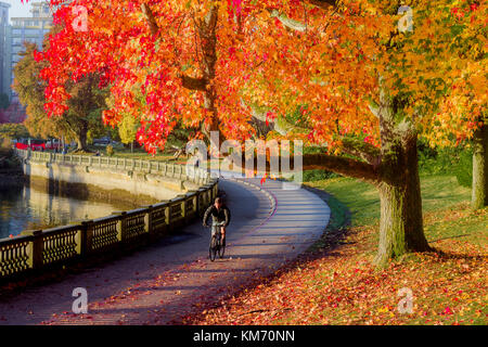 Herbst Farbe, Stanley Park Seawall, Vancouver, British Columbia, Kanada. Stockfoto