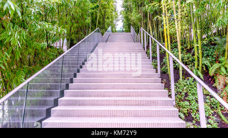 Ansicht von unten nach oben auf eine moderne Treppe aus Metall mit Glas schienen, von grünem Bambus Dickicht umgeben Stockfoto
