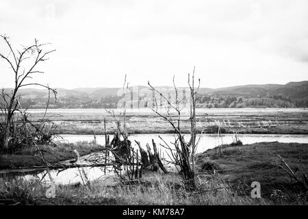 Karge Landschaft Stockfoto