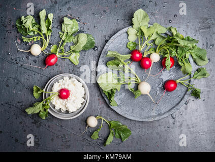 Radieschen mit Grün haulm hinterlässt ein Getreide Käse auf dunklen rustikalen Hintergrund, Ansicht von oben, Platz für Text. Snacks vegetarische Kost Stockfoto