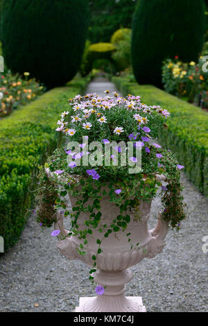 Altamont Gardens, Corona im Norden, weiß Urne, ornamentalen Pflanzmaschine, Carlow, Garten, Garden Trail, Carlow Garden Trail, RM Floral Stockfoto