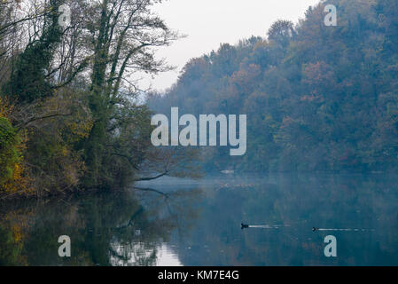 Blick auf den Fluss Adda in herbstlicher Nachmittag Stockfoto