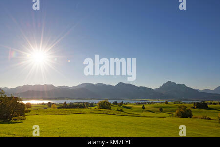 Forggensee, OstallgŠu, AllgŠu, Schwaben, Bayern, Deutschland Stockfoto