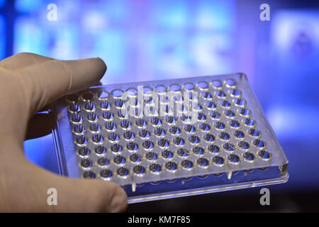 Neue Biotechnologien. Ein 96-Well Platte in der Hand des Forschers. Stockfoto