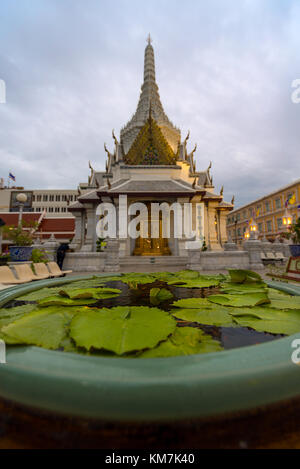 Ein Pool von frischen, grünen Teich Blätter vor einem buddhistischen Pagode Tempel in der Nähe des Grand Palace, Bangkok, Thailand. Stockfoto