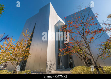 Herbstfarben, Herbstlaub auf Ichou- oder Ginkgo-Biloba-Bäumen im Sumida Hokusai Museum (Sumida Hokusai Bijutsukan Stockfoto