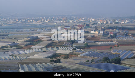 Gemüse Plantagen, die am frühen Morgen in Dalat, vietnam Da Lat ist 1500 m über dem Meeresspiegel auf dem langbian Hochebene gelegen. Stockfoto