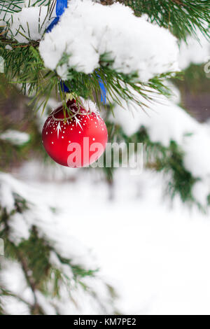 Christmas Ball auf eine Niederlassung eines Weihnachtsbaum in Frost und Schnee Stockfoto