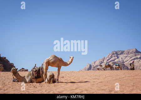 Erleben Sie die Beduinen leben und Gastfreundschaft in Wadi Rum, Jordanien Stockfoto