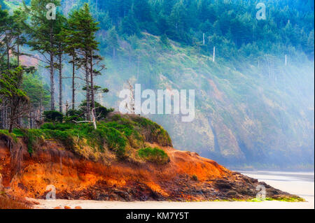 Cape Lookout Beach in der siuslaw National Forest auf der Oregon Küste Stockfoto