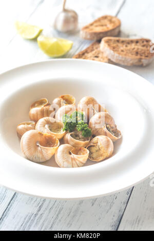 Teil der gekochten Schnecken Stockfoto