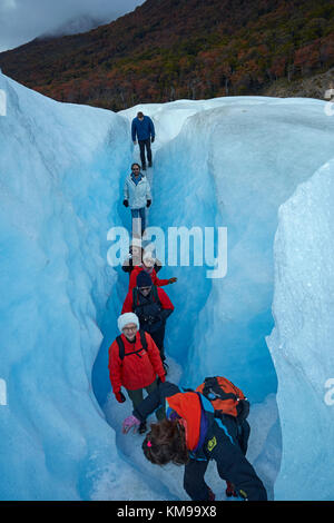 Wanderer in Gletscherspalte, Perito Moreno Gletscher, Parque Nacional Los Glaciares (World Heritage Area), Patagonien, Argentinien, Südamerika Stockfoto