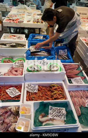 Kanazawa, Japan, 8. Juni 2017: Vielfalt an frischen Meeresfrüchten an der Omicho Markt verkauft. Stockfoto