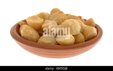 Seitenansicht des Trocken geröstete und gesalzene Macadamianüsse in einem kleinen terracotta Schale auf einem weißen Hintergrund. Stockfoto