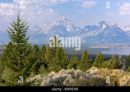 Blick auf die Grand Teton Bergkette von Signal Mountain, Wyoming, USA Stockfoto